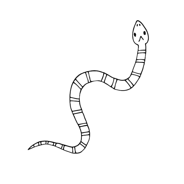 Wektor ręcznie rysowane doodle szkic coral Aspid węża