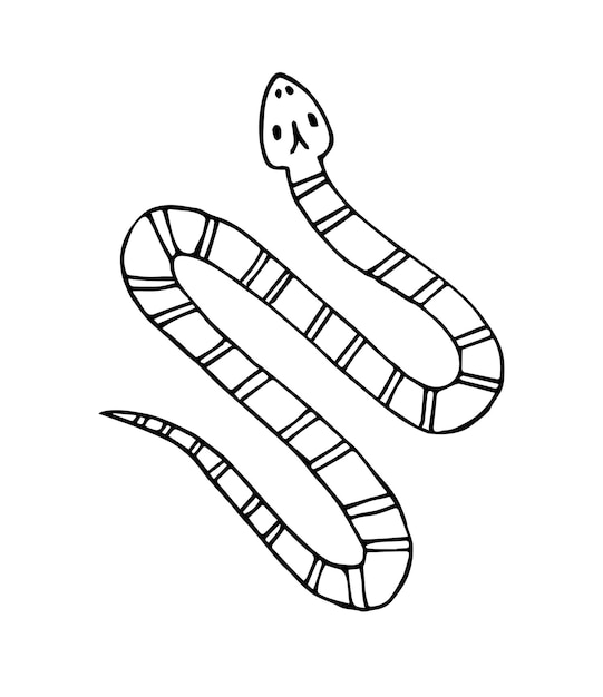 Wektor ręcznie rysowane doodle szkic węża