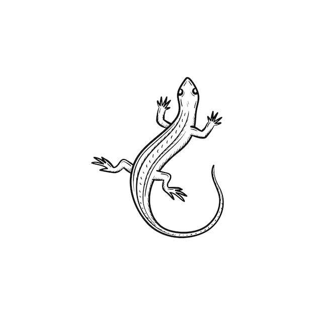 Wektor Ręcznie Rysowane Ikony Doodle Konspektu Salamandra. Salamandra Szkic Ilustracji Do Druku, Sieci Web, Mobile I Infografiki Na Białym Tle.