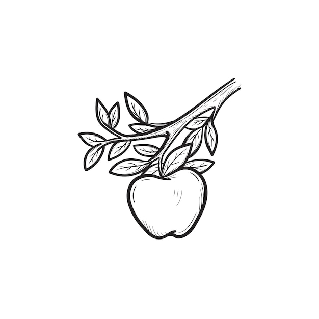 Wektor ręcznie rysowane jabłko na gałęzi konspektu doodle ikona. Apple szkic ilustracji do druku, sieci web, mobile i infografiki na białym tle.