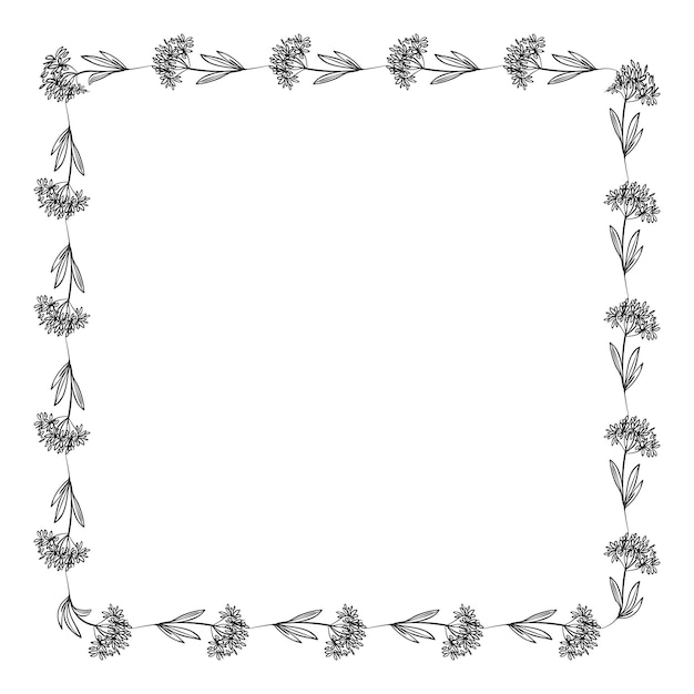 Plik wektorowy wektor rysowane kwiatowy ramki na białym tle