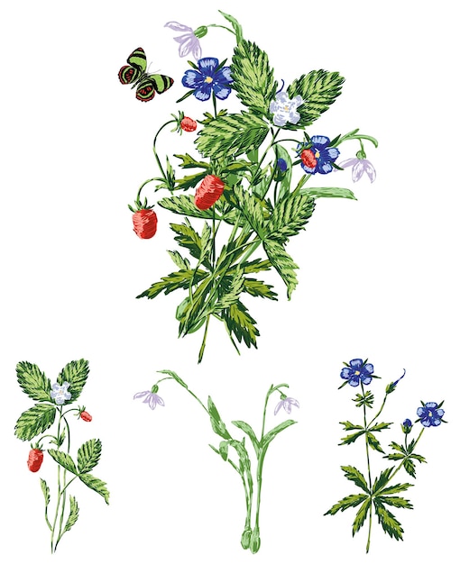Wektor rysunek bukiet z gałązek poziomek i leśnych kwiatów