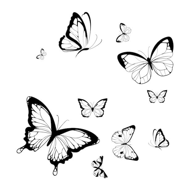 Wektor Rysunek Pięknego Tatuażu Motyla Motyla