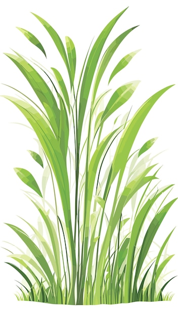 Plik wektorowy wektor rysunku kreskówki z naturą roślin trawiastych