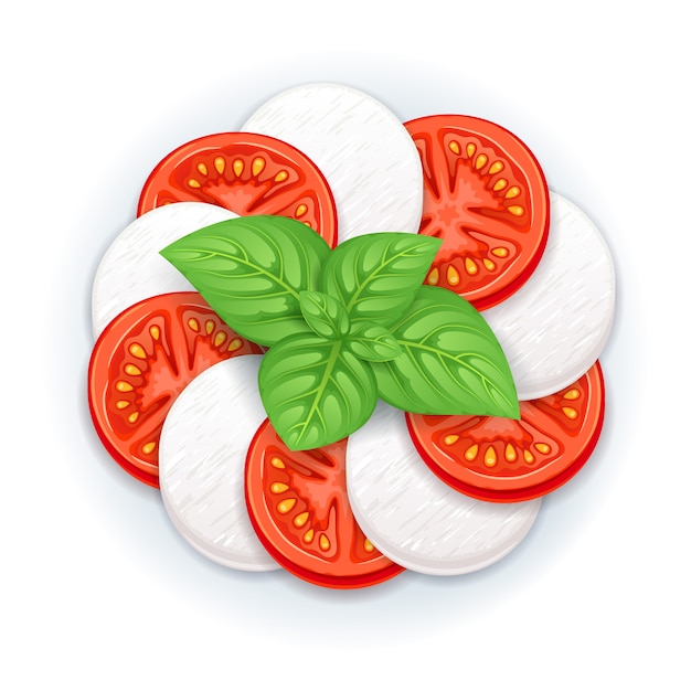 Wektor sałatki Caprese - mozzarella, pomidory i liście bazylii.