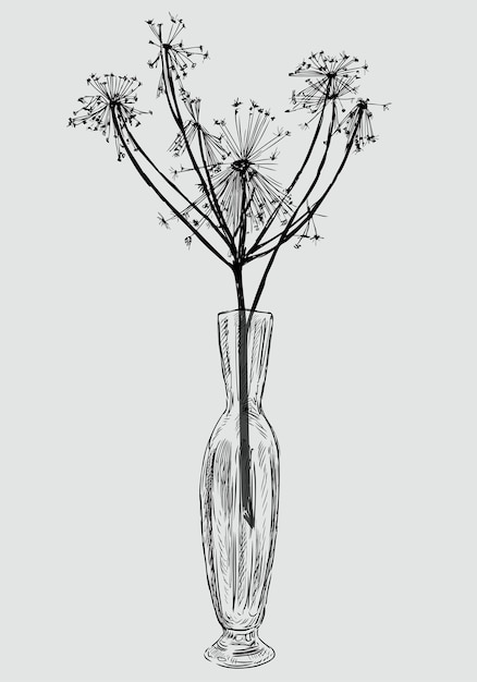 Wektor Zarys Obrazu Suchego Wildflower W Szklanym Wazonie Vintage
