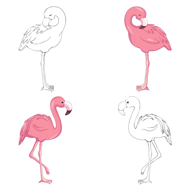 Wektor Zarysowane Flamingi