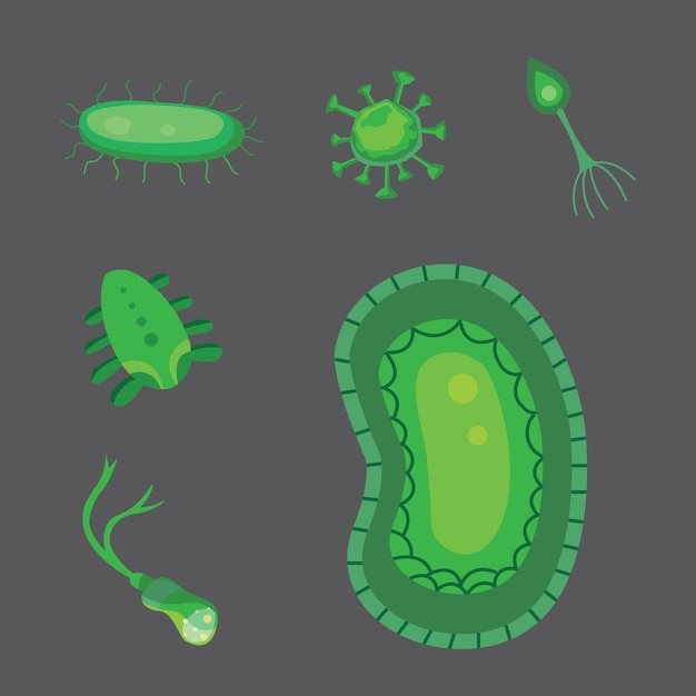 Wektor Zestaw Bakterii I Wirusów Płaska Ilustracja