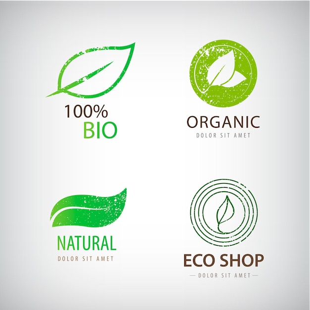 Wektor Zestaw Eko Logo Pozostawia Organiczne