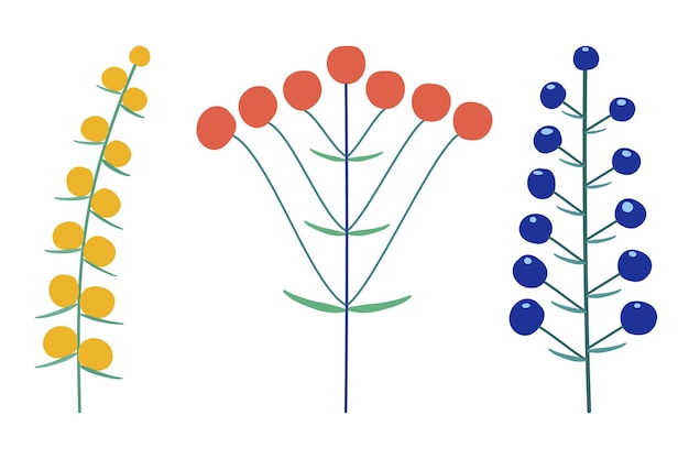 Wektor Zestaw Kwiatostanów Roślin Na łodydze Płaski Styl