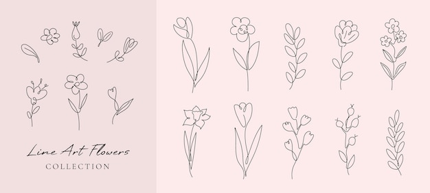 Plik wektorowy wektor zestaw kwiatów i gałęzi w prostym minimalistycznym ciągłym stylu linii konturu ręcznie rysowana linia