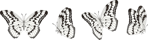 Wektor zestaw pięknych kolorowych motyli na białym tle