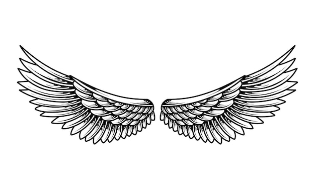 Plik wektorowy wektor zestaw plemiennych tatuaży anielskich skrzydeł