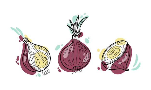 Wektor zestaw soczystej cebuli doodle ilustracja kolorowe kształty i linia na białym tle