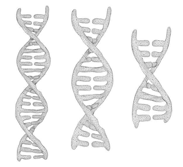 Wektorowa Część Ludzkiego Dna 3d Trójkątny Abstrakcyjny Styl