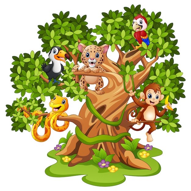 Wektorowa Ilustracja Dzikie Zwierzę Kreskówka Na Drzewach