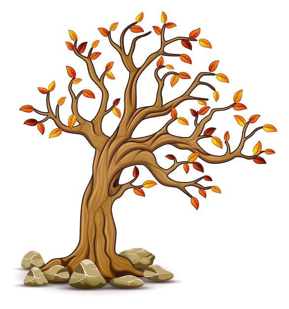 Wektorowa Ilustracja Jesieni Drzewo Z Kamieniami