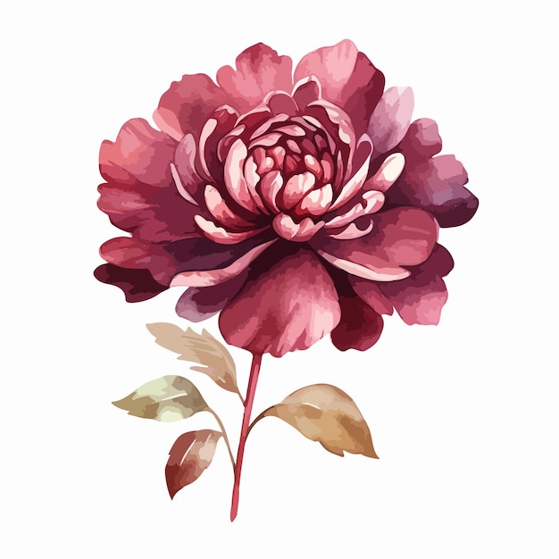 Wektorowa ilustracja jesiennego aranżacji z różami i liśćmi wyizolowanymi na białym tle