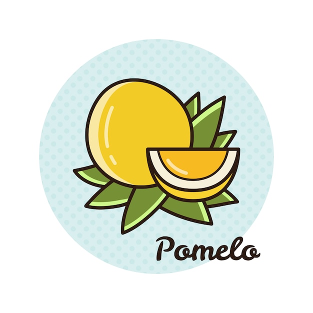 Wektorowa Ilustracja Pomelo.