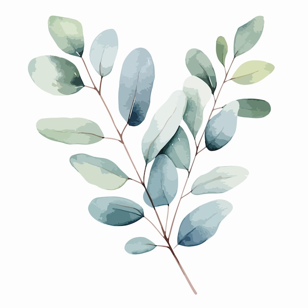 Plik wektorowy wektorowa ilustracja wieńca wykonana z zielonych liści i gałęzi eukaliptusa
