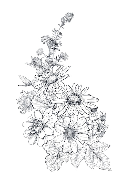 Wektorowa Kompozycja Bukietów Kwiatowych Z Czarno-białymi Ręcznie Rysowane Zioła I Polne Kwiaty