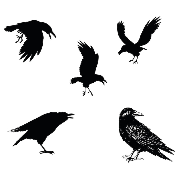 Wektory Halloween, ilustracje, emoji i wzory
