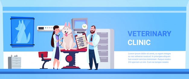 Weterynarze Lekarze, Badając Psa W Klinice Office Veterinary Medicine Concept Banner