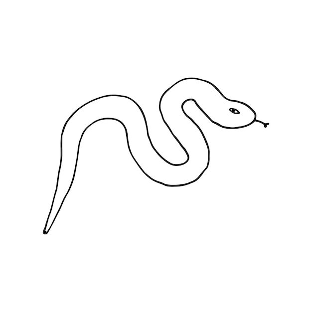 Węże gady łuszczące się gady Doodle ilustracja wektorowa rysowana ręcznie Kontur