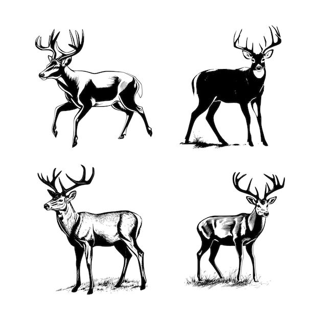 Whitetail Buck dynamiczna poza prosta grafika kreskówka wektor sztuki naklejki czarny na białym tle