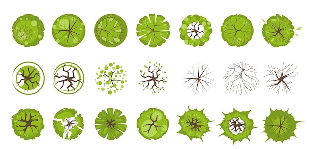 Widok Z Góry Drzew I Krzewów Do Projektowania Architektonicznego I Krajobrazowego Zestaw Roślin Do Planu Mapy Projektu