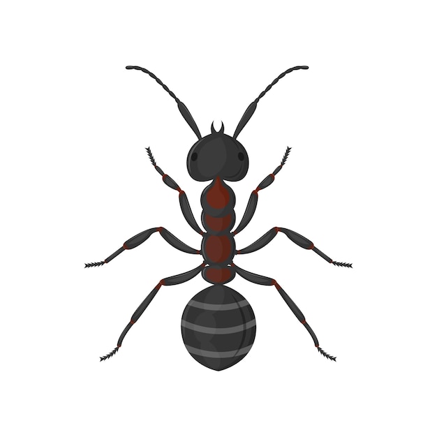 Widok z góry duży mrówka pracownika. Ilustracja wektorowa na białym tle.