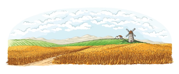 Wiejskie pole z dojrzałą pszenicą na tle młyna, wioski i chmur. Kolorowa ilustracja wektorowa