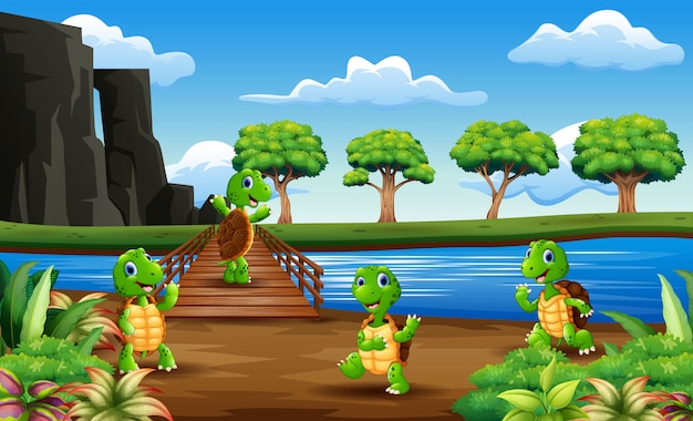 Wiele żółwi Na Drewnianym Moście