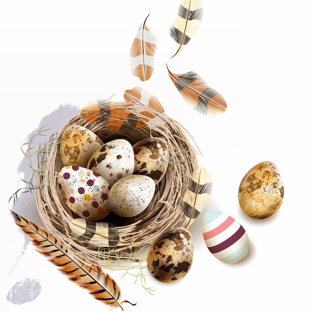 Plik wektorowy wielkanoc tło wektor z realistycznymi ptasimi jajami i piórami do projektowania