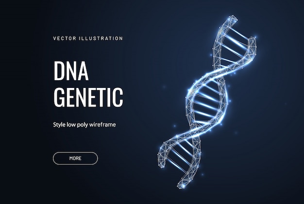 Wieloboczne DNA