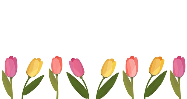 Wielokolorowe Tulipany Na Białym Tle Transparent Z Tulipanami Grafika Wektorowa