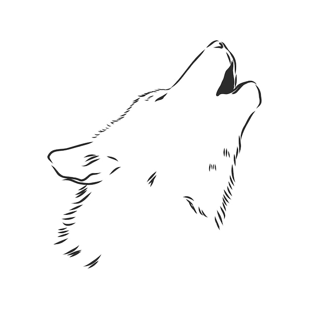 Plik wektorowy wilk głowy wektor wilk wyje wilk głowy wektor szkic ilustracji