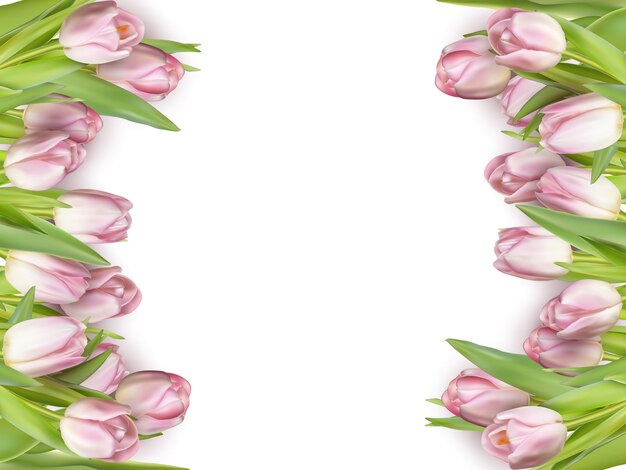 Plik wektorowy wiosna kwiatów ramki z tulipanem