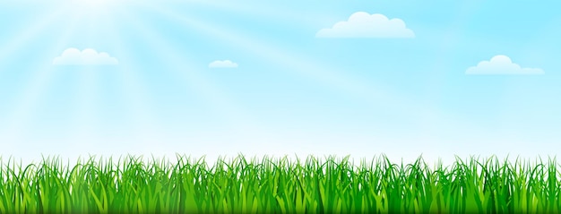 Wiosna natura tło z zieloną trawą i błękitnym niebem. Ilustracja projektu