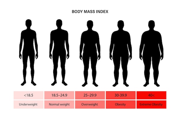 Plik wektorowy wskaźnik masy ciała mężczyzny