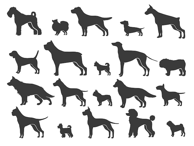 Wskaźnik pies sylwetka czarne psy rozmiary i rasy zwierząt sylwetki psów towarzysz mały szczeniak rozmiar retriever labrador owczarek jamnik mops zestaw na białym tle wektor ikona