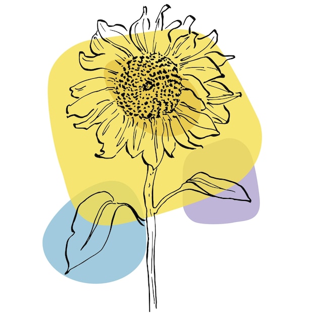 Współczesne Plakaty Słonecznikowe W Modnych Kolorach Abstrakcyjne, Ręcznie Rysujące Kwiaty I Elementy Geometryczne Oraz Obrysy Liści I Kwiatów