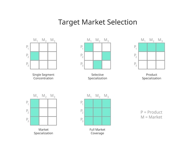 Plik wektorowy wybór rynku docelowego koncentracja pojedynczego segmentu rynek specjalizacji selektywnej