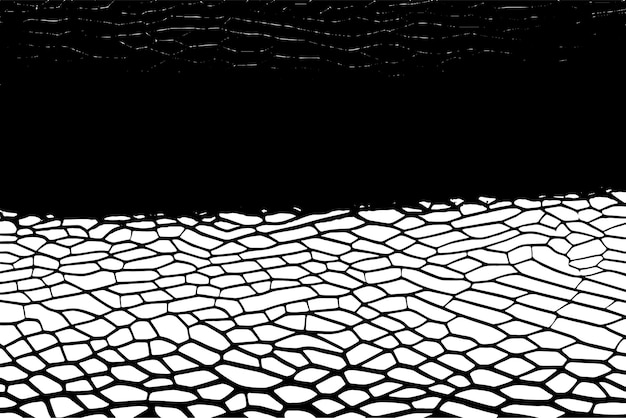 Wysoko kontrastowa czarno-biała monochromatyczna tekstura dla tła i nadkładu