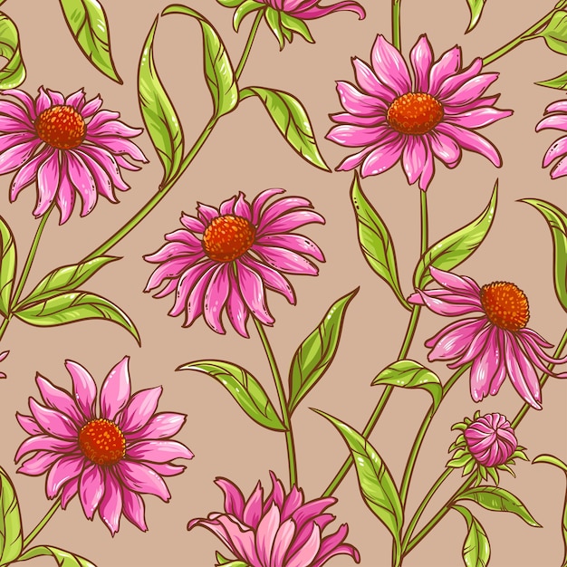 Wzór Echinacea Purpurea