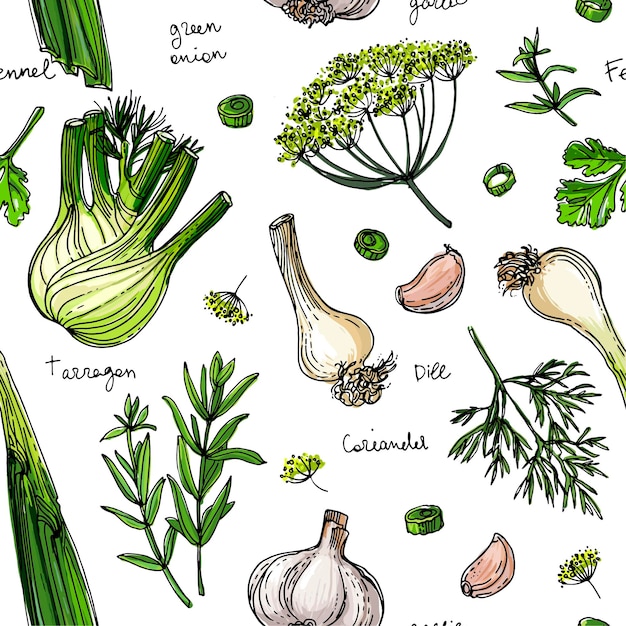 Plik wektorowy wzór linii malowane kolorowe warzywa rysowane na białym tle skertch jesienne zbiory