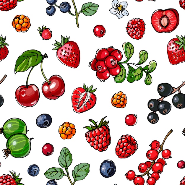 Wzór świeża żywność arbuz kantalupa granat morela persimmon linia narysowana na białym tle ilustracji wektorowych
