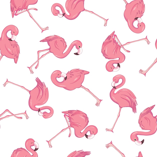 Wzór tropikalny Flamingo
