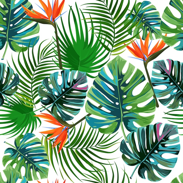 Wzór Tropikalnych Egzotycznych Liści Palmowych.