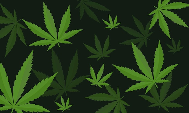 Wzór z liści konopi Cannabis sativa indicamarijuana wektor ilustracja tło